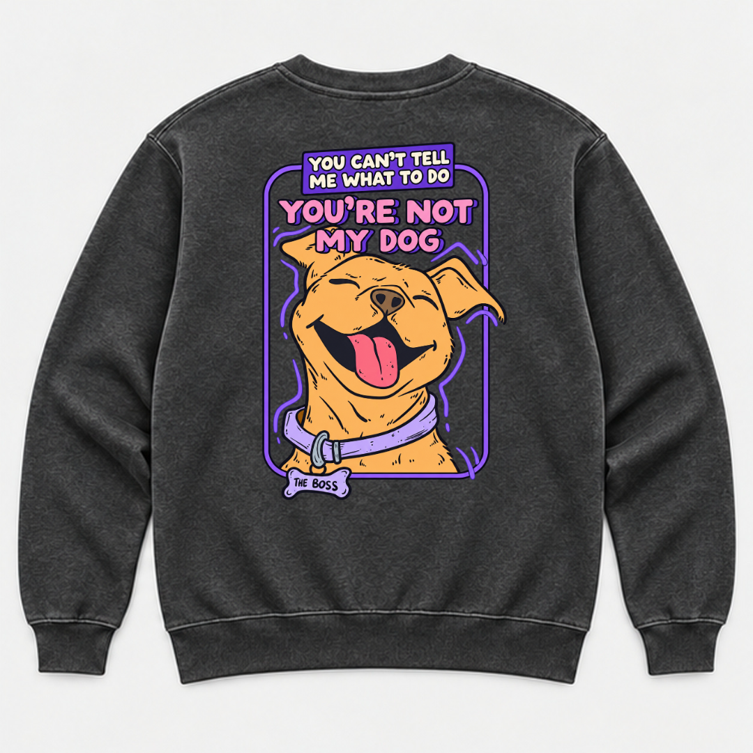 You’re Not My Dog Funny Dog Graphic Washed T-Shirt, Hoodie & Sweatshirt