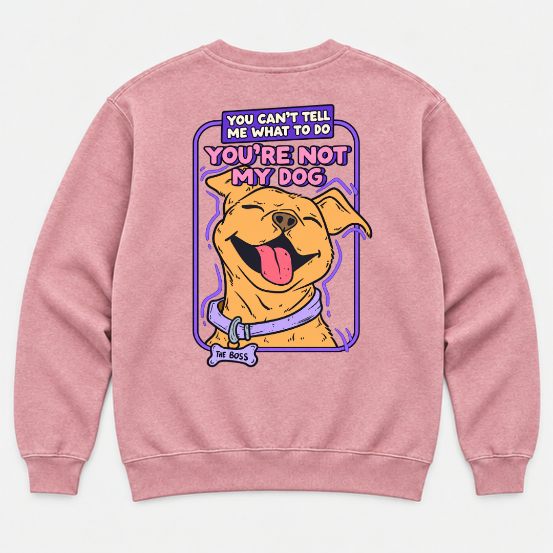You’re Not My Dog Funny Dog Graphic Washed T-Shirt, Hoodie & Sweatshirt