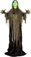 Halloween Skeleton Yard Decoration
