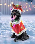 Christmas Outdoor Wreath
