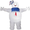 9 Ft Halloween Inflatable Yard Decoration