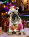 Christmas Yard Decoration