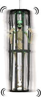 Halloween Skeleton Yard Decoration