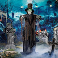 Halloween Skeleton Yard Decoration