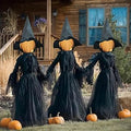 5 FT Halloween Witch Yard Decoration 3 Pack