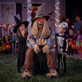 Halloween Yard Decoration