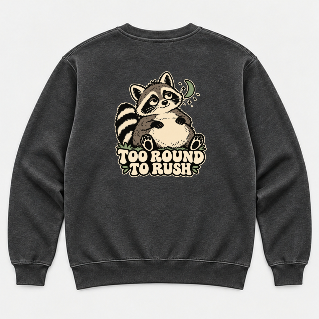 Too Round to Rush Raccoon Graphic Washed T-Shirt, Hoodie & Sweatshirt — washed sweatshirt mockup 1