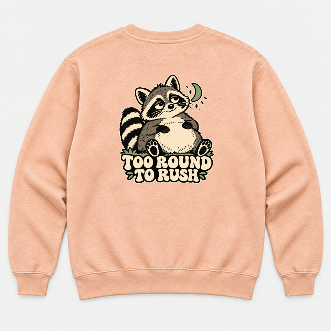 Too Round to Rush Raccoon Graphic Washed T-Shirt, Hoodie & Sweatshirt — washed sweatshirt mockup 3