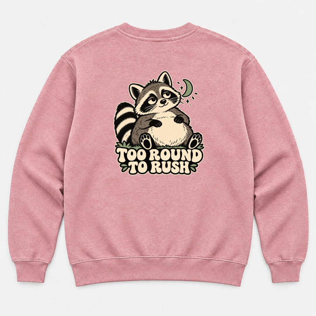 Too Round to Rush Raccoon Graphic Washed T-Shirt, Hoodie & Sweatshirt — washed sweatshirt mockup 4