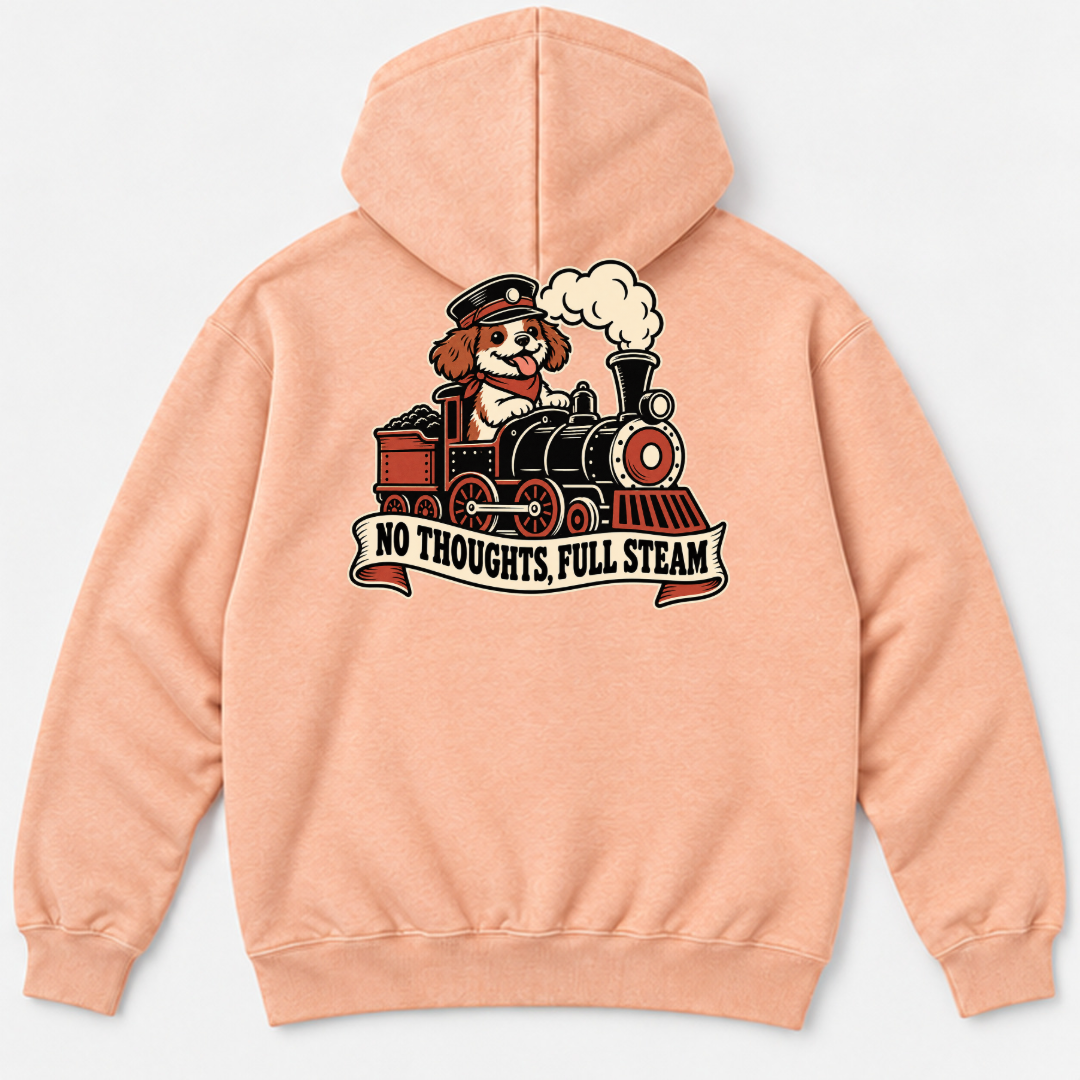 No Thoughts Full Steam Train Dog Graphic Washed T-Shirt, Hoodie & Sweatshirt — washed hoodie mockup 3