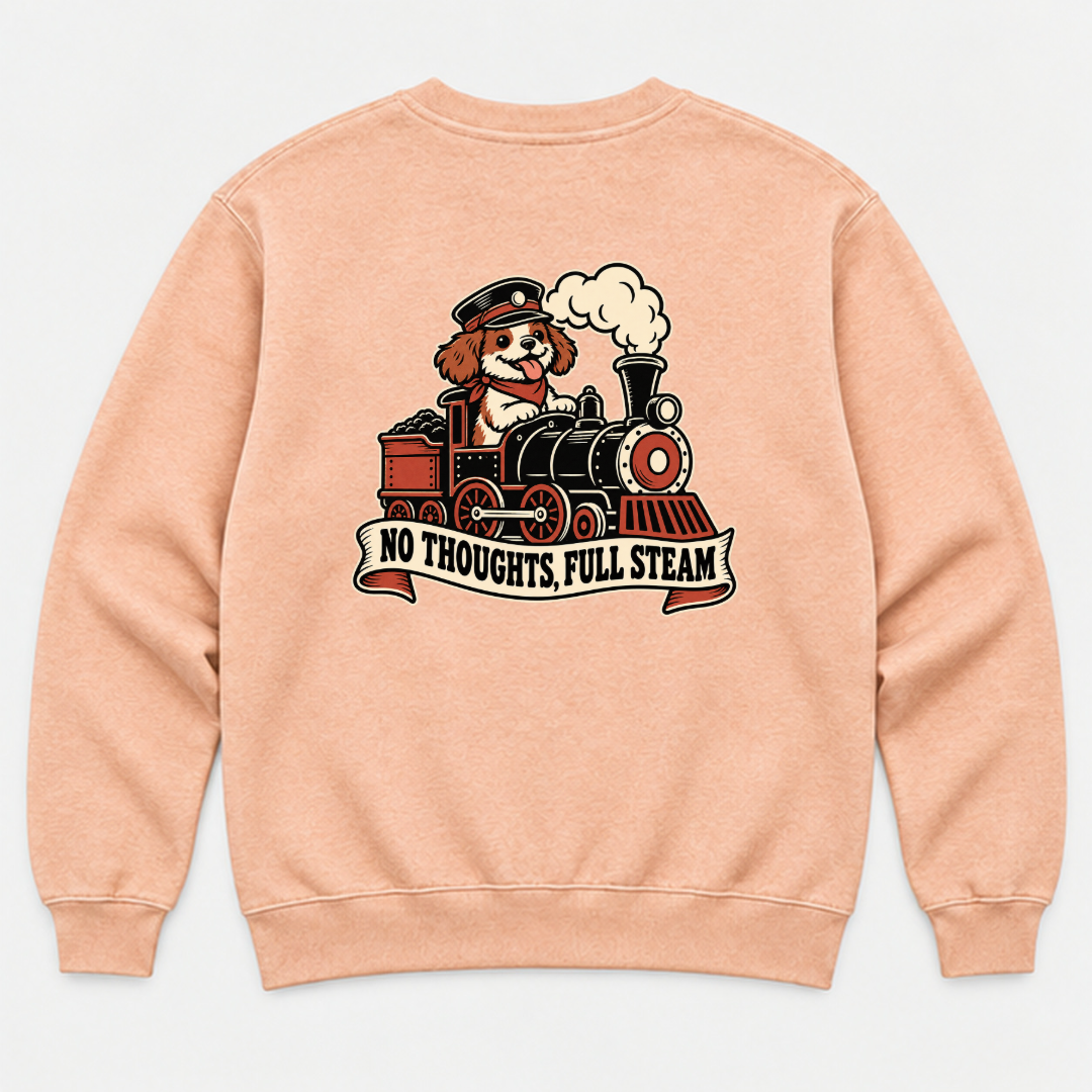 No Thoughts Full Steam Train Dog Graphic Washed T-Shirt, Hoodie & Sweatshirt — washed sweatshirt mockup 3