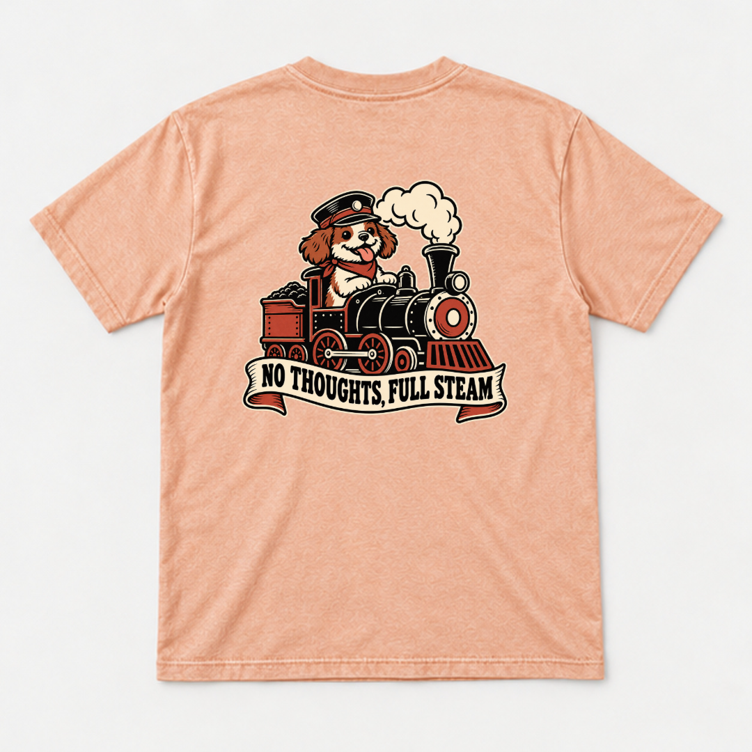 No Thoughts Full Steam Train Dog Graphic Washed T-Shirt, Hoodie & Sweatshirt — washed tshirt mockup 3