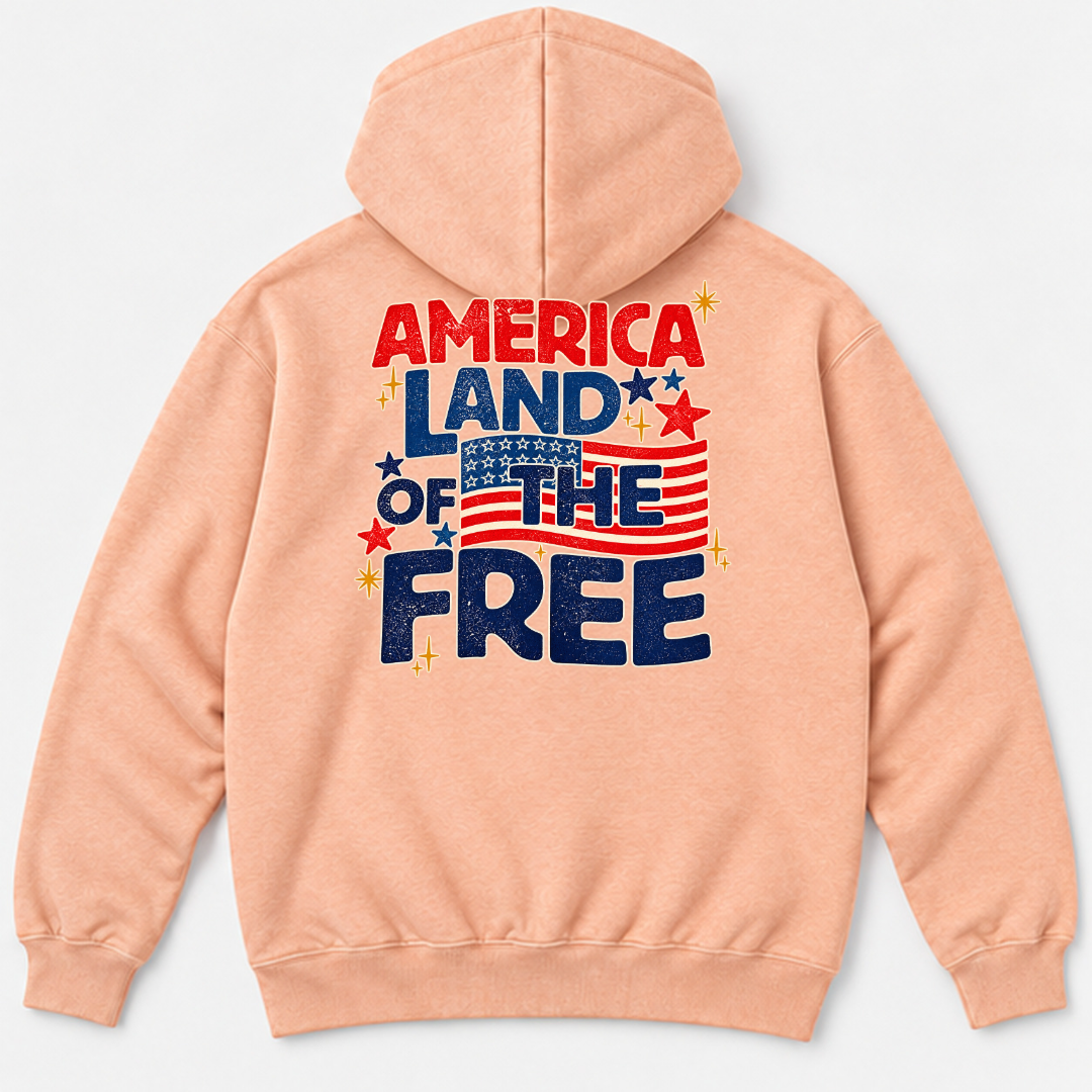 America Land of the Free Patriotic Graphic Washed T-Shirt, Hoodie & Sweatshirt