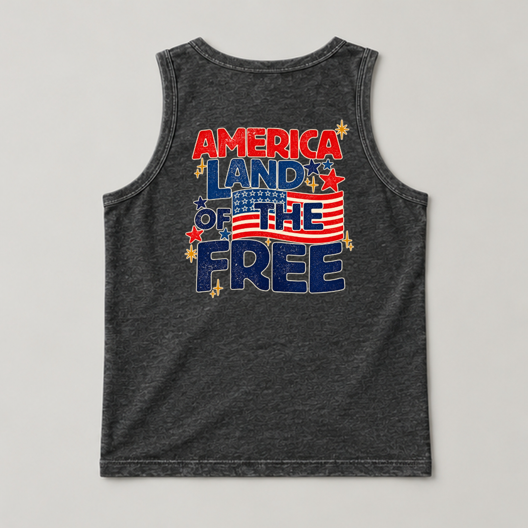 America Land of the Free Patriotic Graphic Washed T-Shirt, Hoodie & Sweatshirt
