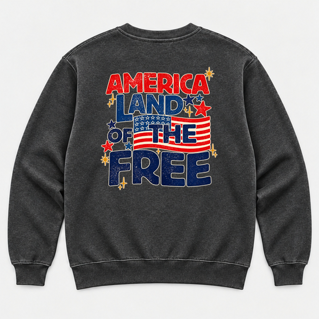 America Land of the Free Patriotic Graphic Washed T-Shirt, Hoodie & Sweatshirt