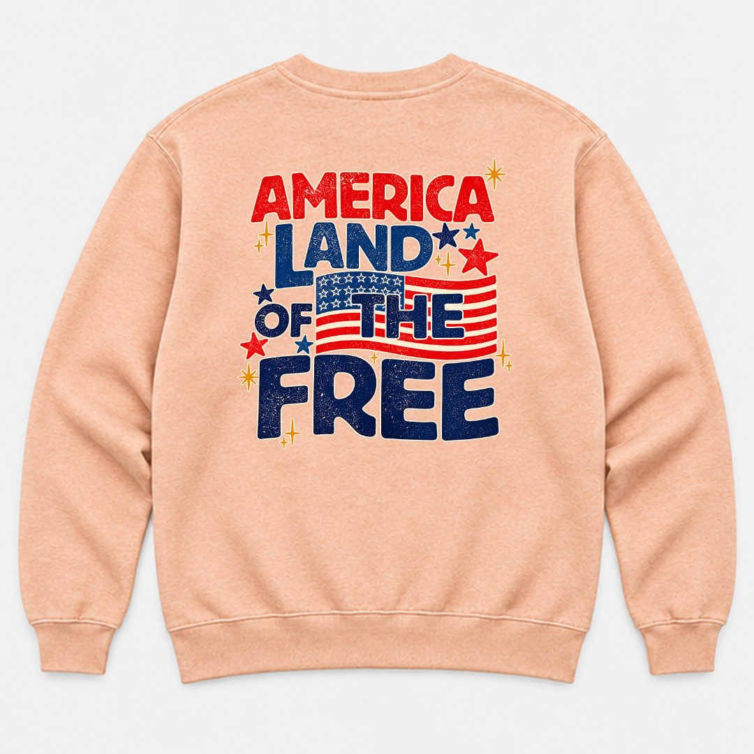 America Land of the Free Patriotic Graphic Washed T-Shirt, Hoodie & Sweatshirt